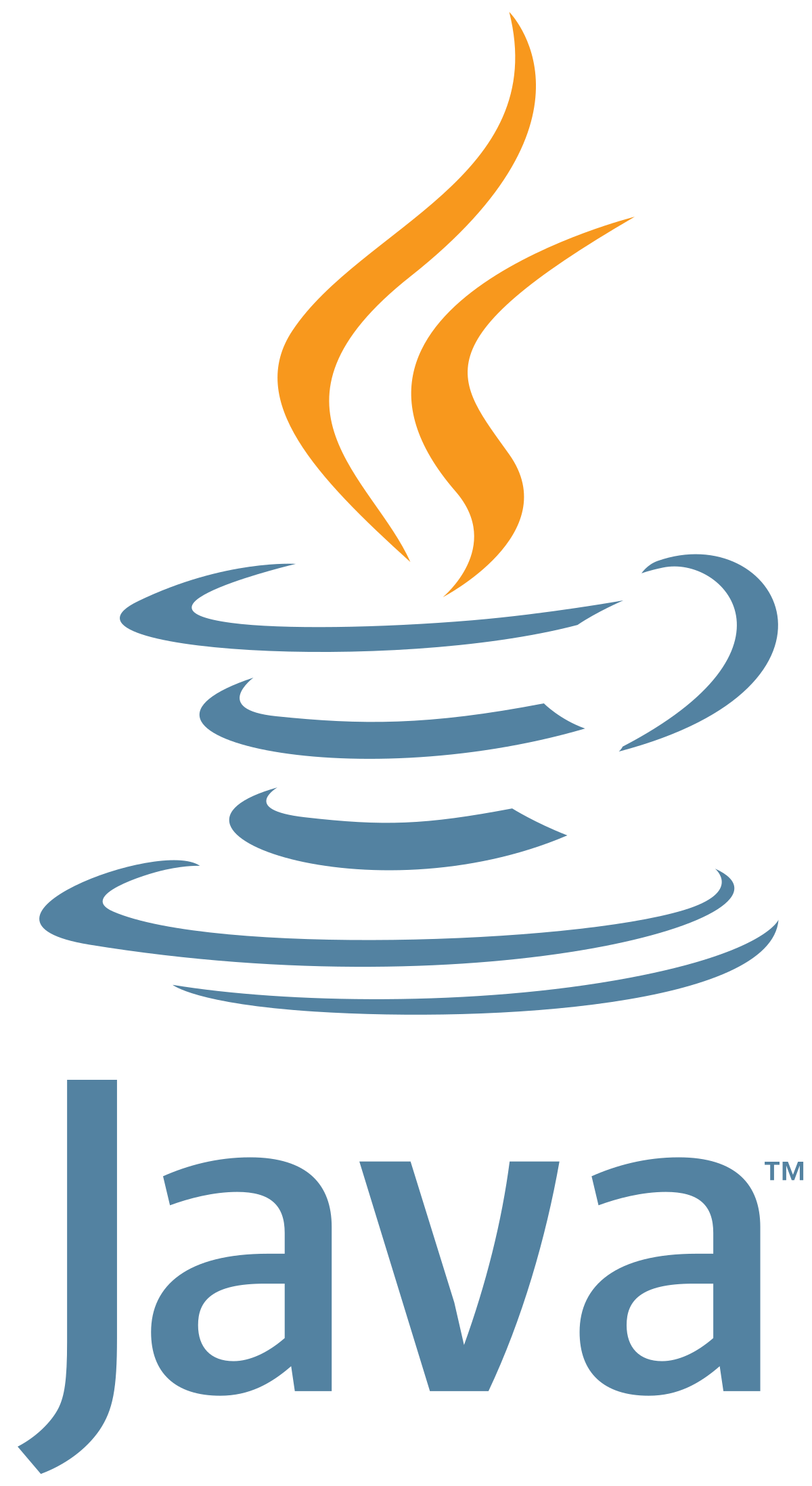 Java Programming Language Logo